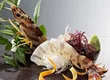 博多料亭　稚加榮　福岡店 6